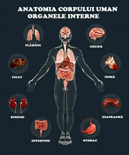 Anatomia Unei Relații Interzise